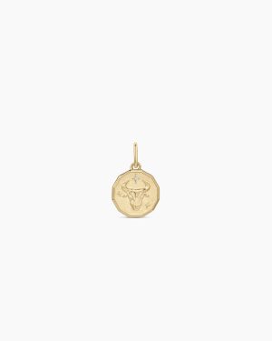 Diamond Zodiac Coin Charm