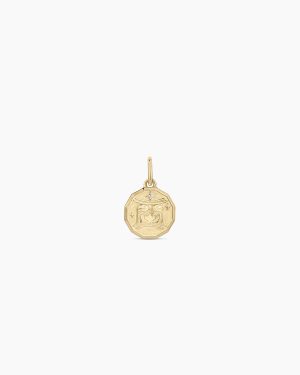 Diamond Zodiac Coin Charm